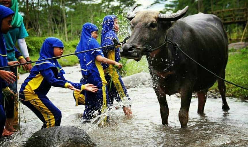 7 Exciting Outbound Destinations in Yogyakarta You Shouldn’t Miss!Camping